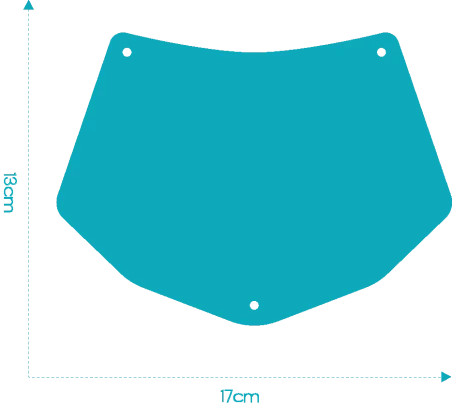 Personalized Kid balance bike/bike license plate