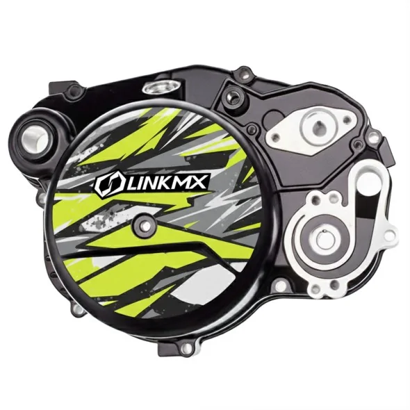 Carter 50cc 100% persönlich